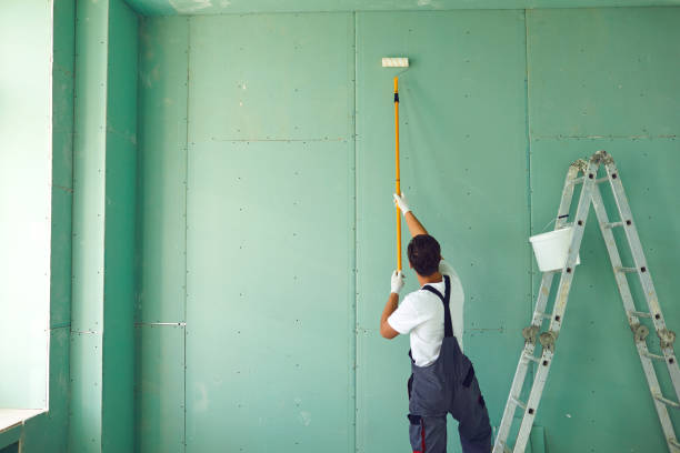 Centreville, MI Mold Removal Company