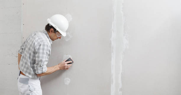 Best Mold Damage Restoration  in Centreville, MI