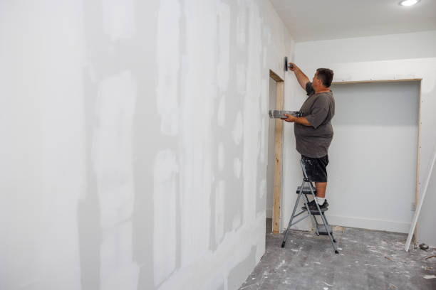 Best Post-Remediation Verification Testing  in Centreville, MI